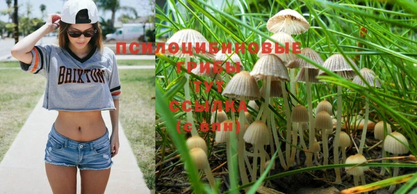 кокаин Снежногорск