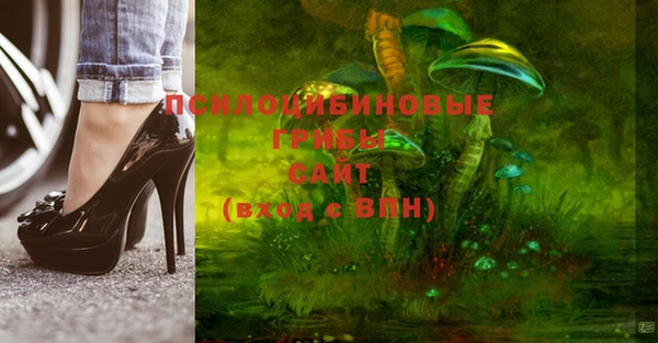 не бодяженный Гусь-Хрустальный